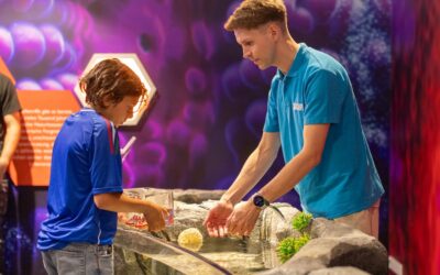 Schüler*innen der Siedlungsschule Speyer helfen bei der Eröffnung des neuen Entdeckerbeckens im SEA LIFE Speyer